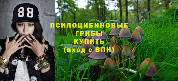ГАЛЛЮЦИНОГЕННЫЕ ГРИБЫ Цимлянск