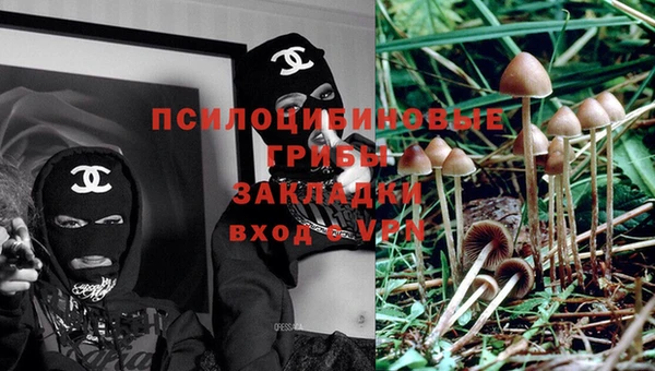 a pvp Алексеевка