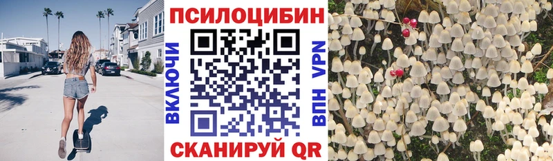 Псилоцибиновые грибы MAGIC MUSHROOMS  Ярцево 