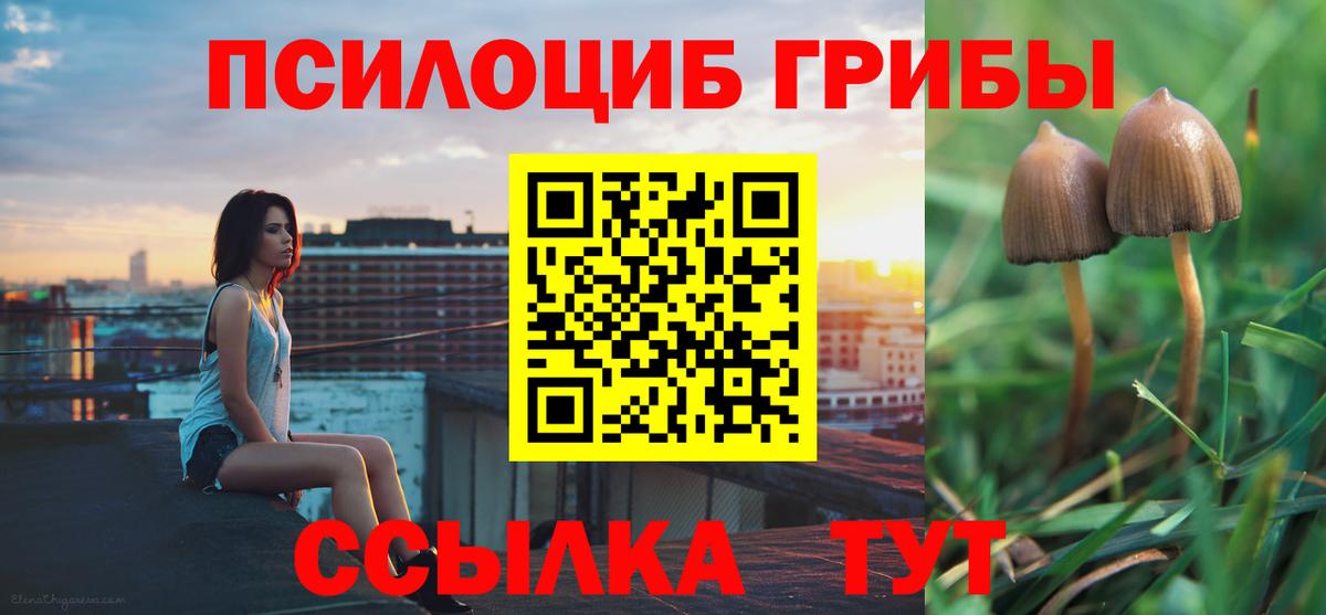 Псилоцибиновые грибы Psilocybine cubensis Ярцево