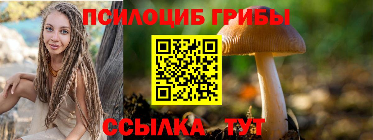 как найти   Галлюциногенные грибы Magic Shrooms  Ярцево  Вход с VPN  Псилоцибиновые грибы мицелий 